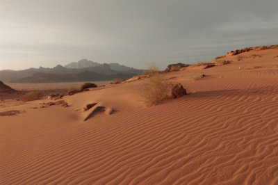 Le sable à perte de vue Wadi Rum