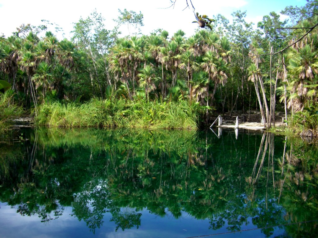 Une nature foisonnante la Réserve de Sian Ka'an est inscrite à l'UNESCO (c) GAD