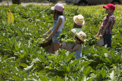 Les Jeunes Jardiniers programme de découverte