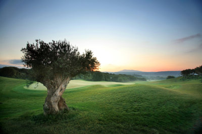 Une vue typique de Dunes Course