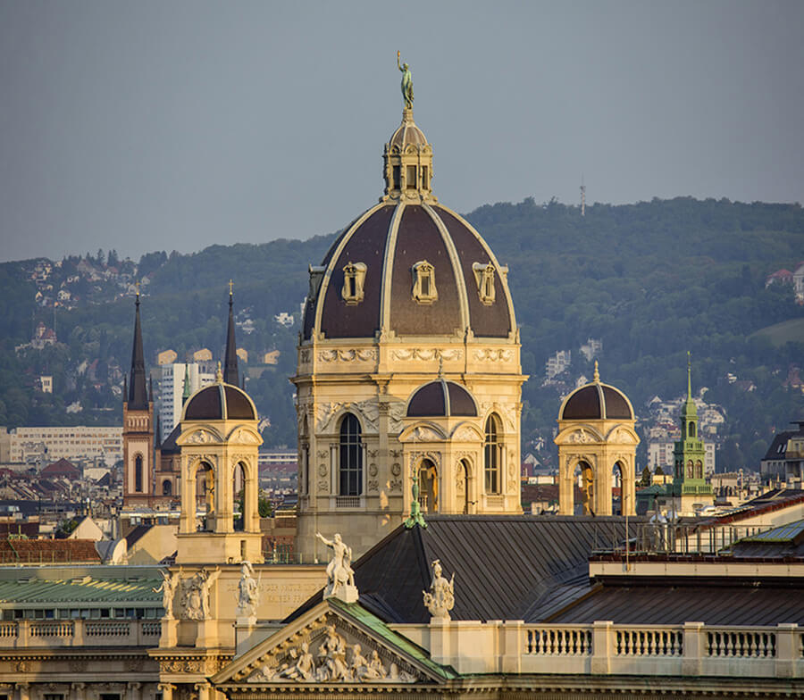 Vue sur les toits de Vienne (c) Christian Stemper