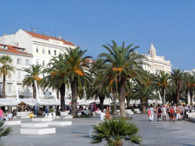 Split Promenade sur les quais bordés de palmiers (c)GAD