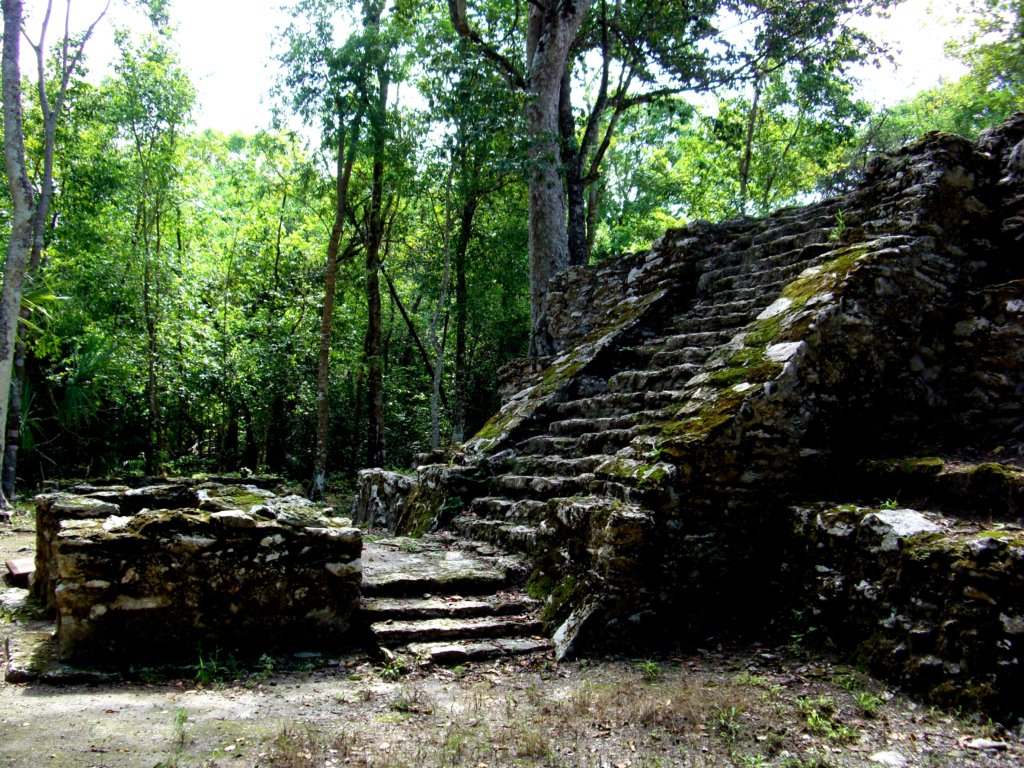 La jungle livre partout des témoignages de la grandeur des Mayas (c) GAD