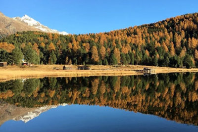 Muottas da Schlarigna une longue traversée d'anciennes forêts offrant une vue sur les lacs de Haute Engadine (c) Engadine Tourisme