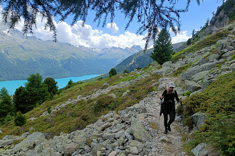 Longeant le lac en hauteur entre rochers et forêts de mélèzes les pistes attirent les inconditionnels de randonnées (c) Silvaplana Tourismus
