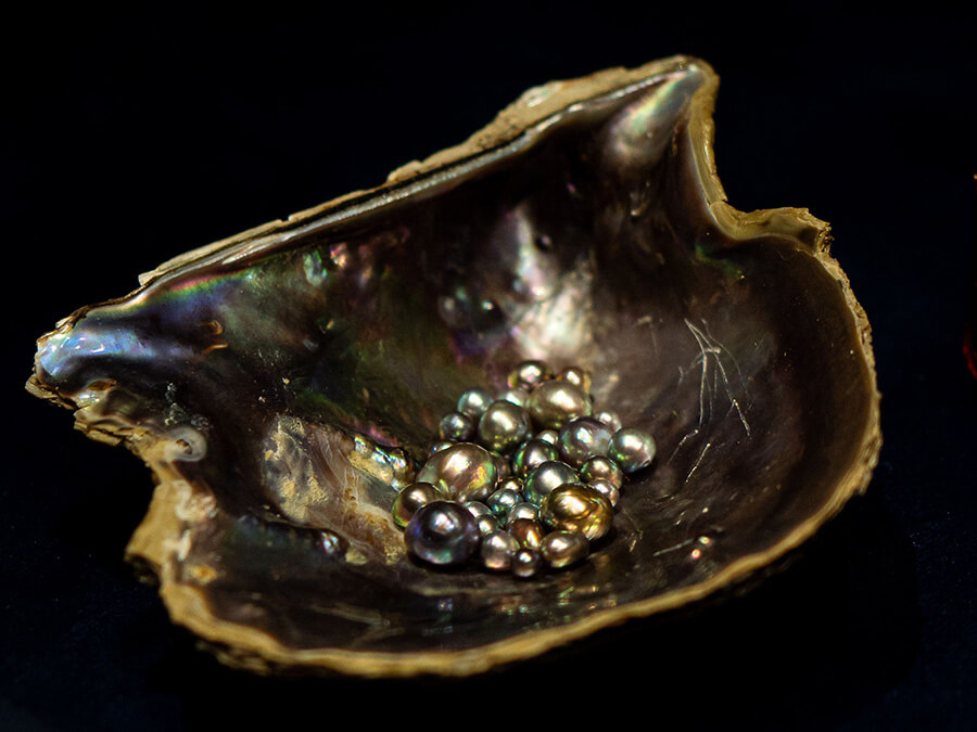 Pearl Odissey légende d'une huître prodigieuse et de ses perles miraculeuses