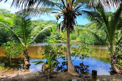 Les magnifiques jardins du Kempinski Seychelles Resort