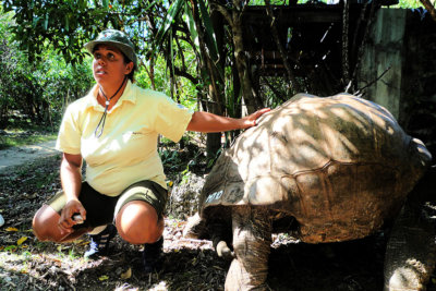 La tortue reste la grande curiosité de l’ile