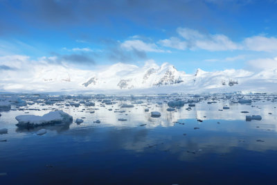 Premiers icebergs