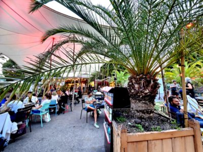 Détente sous la douceur légère des palmiers (c) GAD