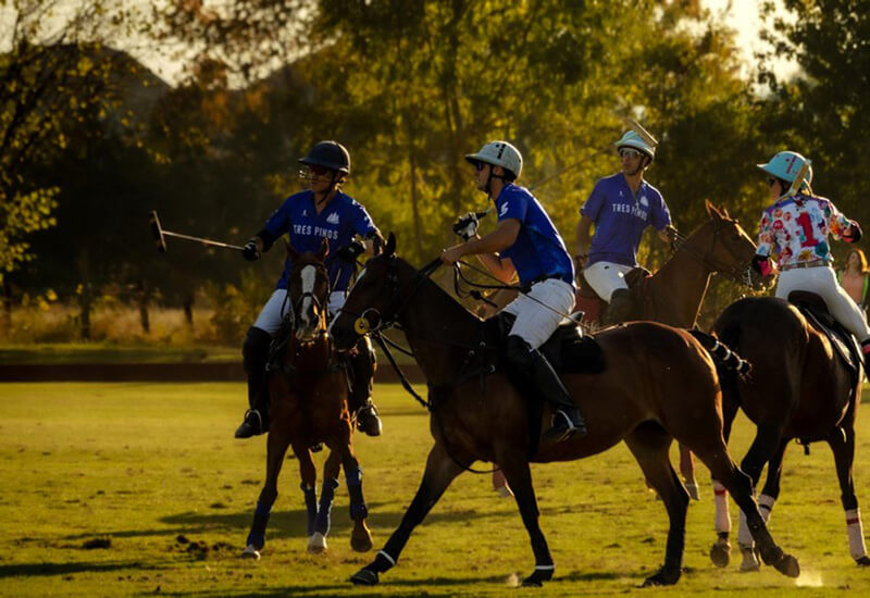 Joueurs en pleine action (c) Roel Paffen