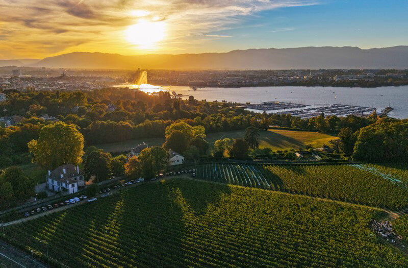 Panorama, des vignes à perte de vue révèlent une vision du lac et du Jet d'eau (c) La Perle Immobilier