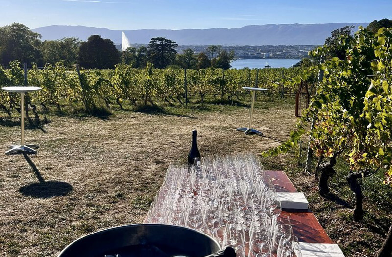 Une ambiance bucolique attend les convives pour la soirée de La Perle Immobilier (c) Attika Fiche